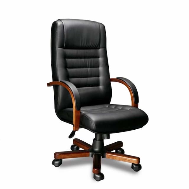 Кресло для руководителя Мирэй MYRA А LAGUNA ТГЛ, экокожа  OREGON